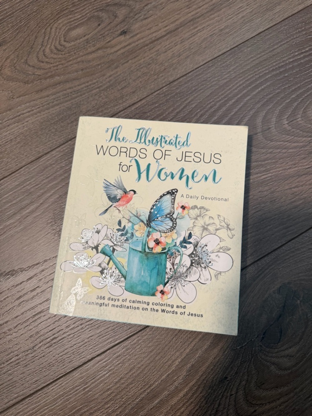 The Illustrated Words of Jesus for Women - Teal Cover Daily Devotional coloring